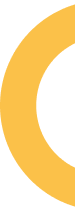 ellipse 7.png